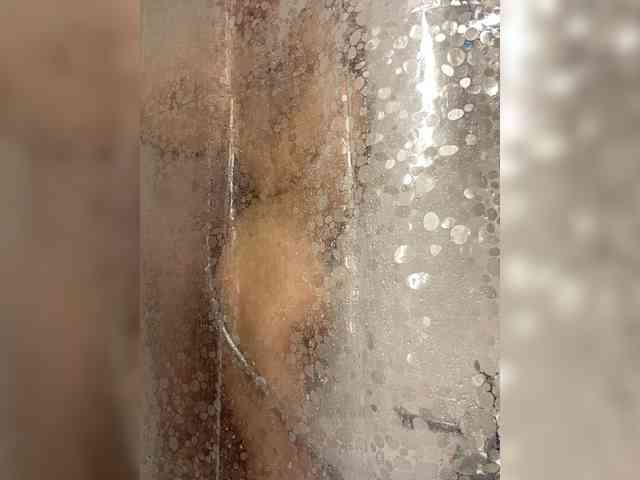 lina_wap webcam