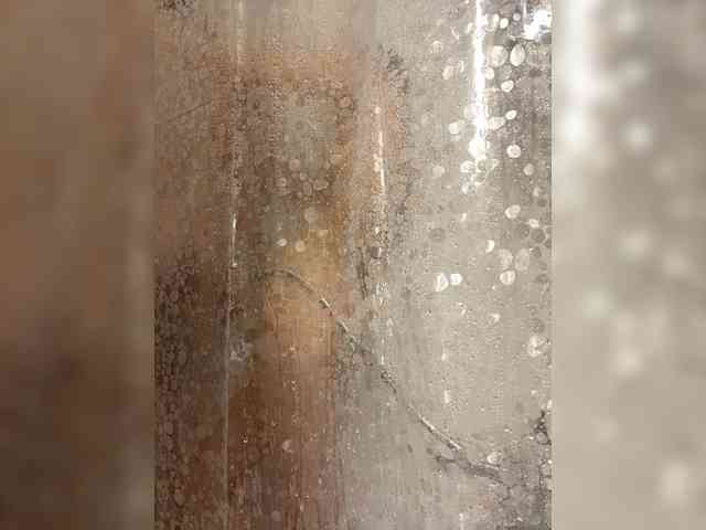 lina_wap webcam