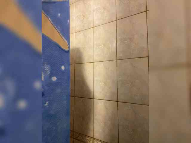 LinaTwins Live Webcam on BongaCams