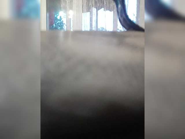  Anchelikaaa chat room