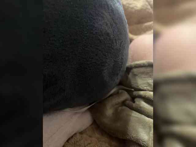 Anchelikaaa Live Webcam on BongaCams