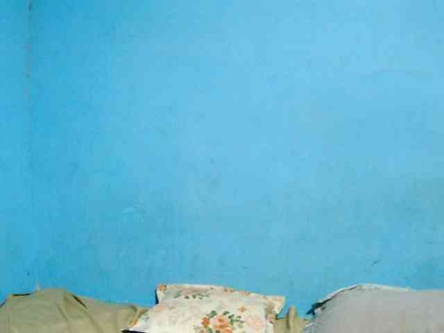 LAYANe webcam