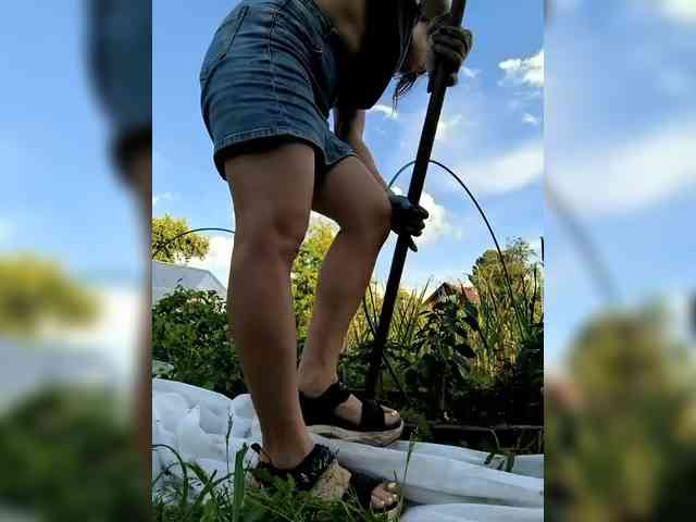 dianafarber webcam