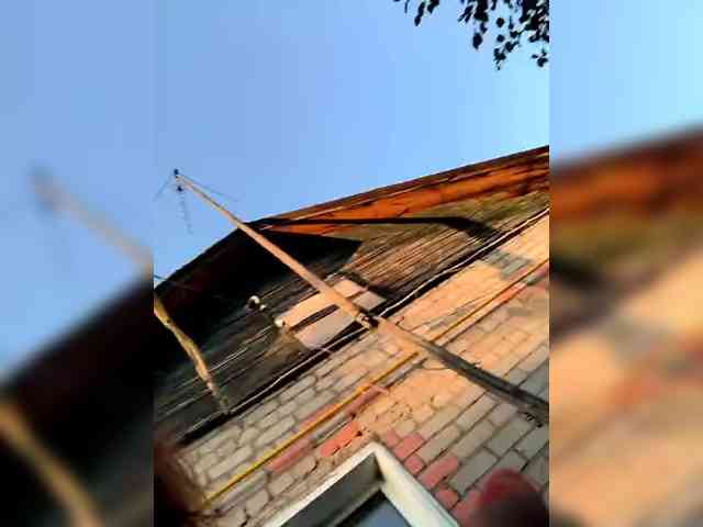 dianafarber webcam