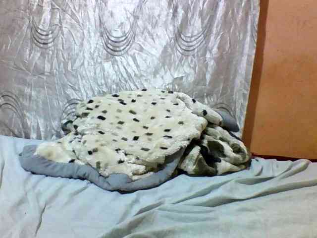 cute-letty webcam