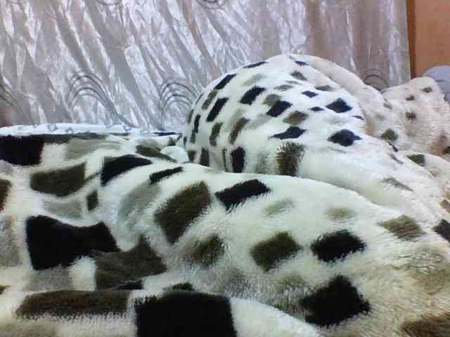cute-letty webcam
