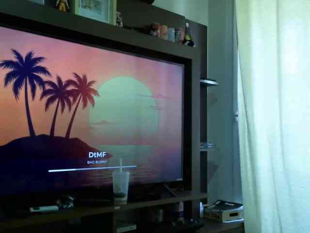 juli3th webcam