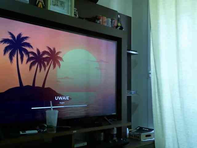 juli3th webcam
