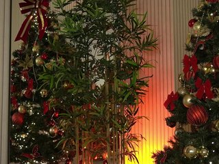 EmmaBlanco Porn Show