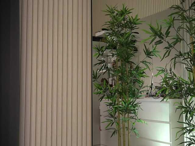 EmmaBlanco's BongaCams show and profile