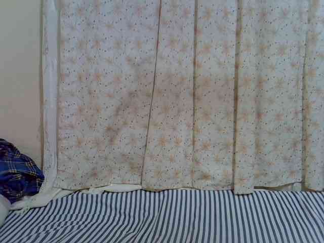 Queen-Triz webcam