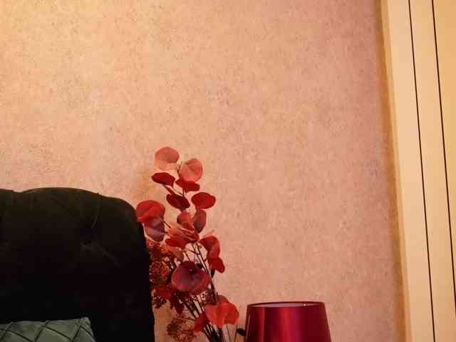 AlisTaylor webcam