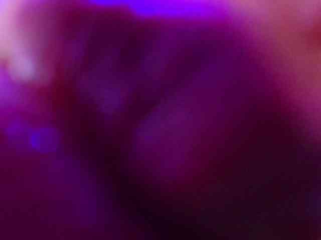 Ahilin-luther webcam