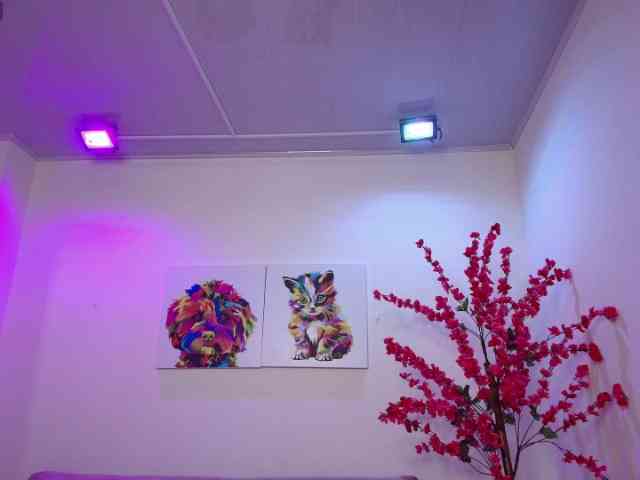 Ahilin-luther webcam