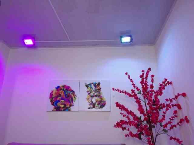 Ahilin-luther webcam