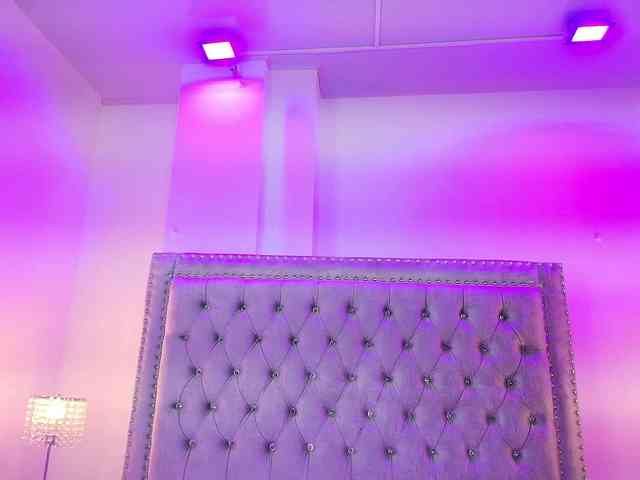 Ahilin-luther webcam