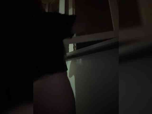 AmeliaV webcam