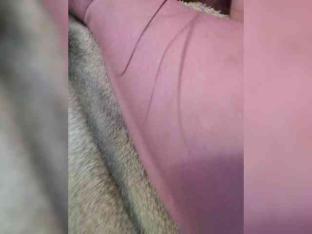 Starfeet