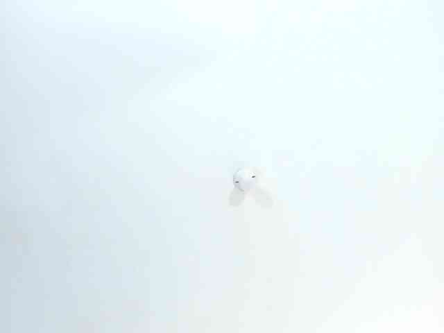 thamiina webcam