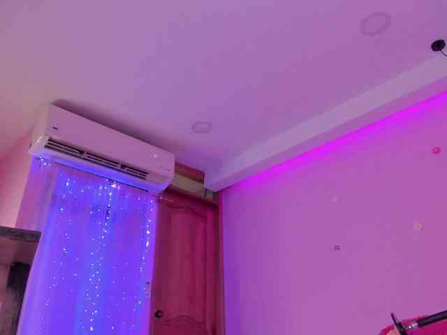Mila-desire webcam