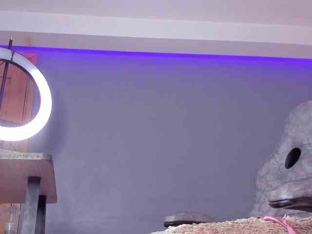 Mila-desire webcam