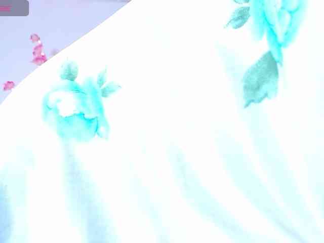 dominik-slay webcam