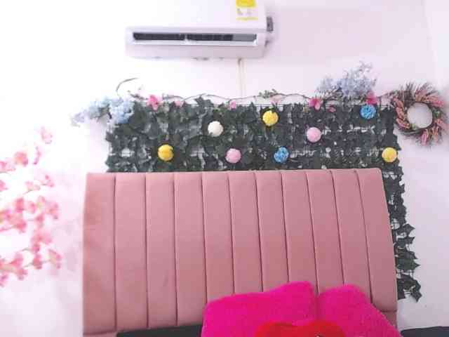 dominik-slay webcam