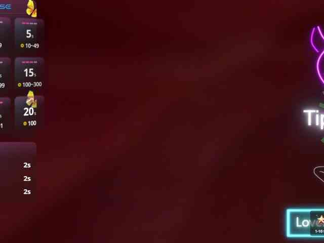dominik-slay webcam