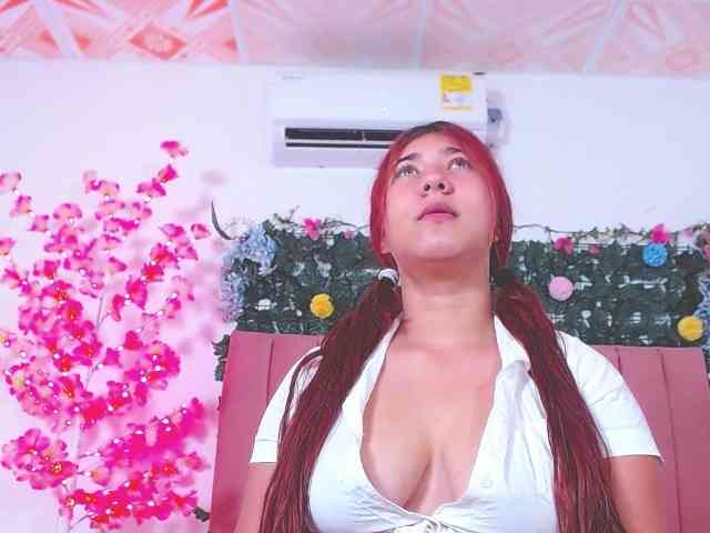 dominik-slay webcam