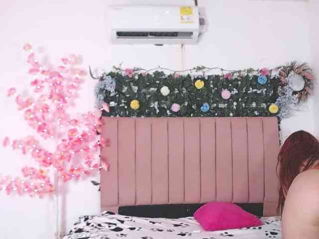 dominik-slay webcam