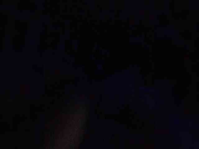 Two-foxes Live Webcam on BongaCams