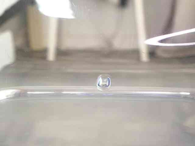 Naalani webcam