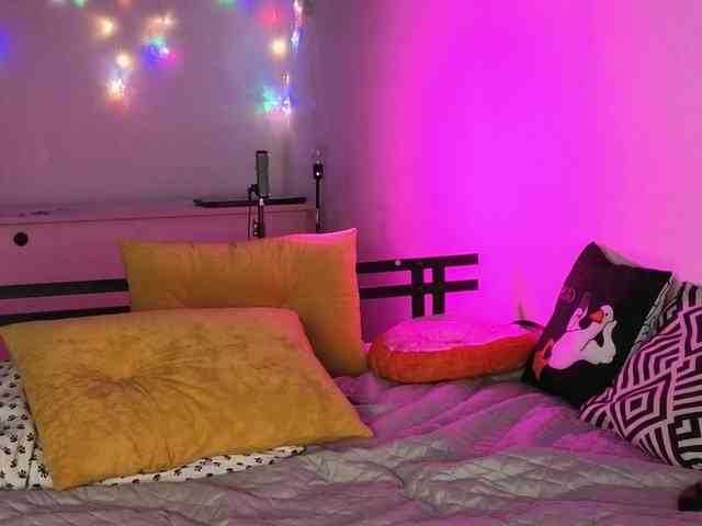 Trusty-dottie Trusty-dottie