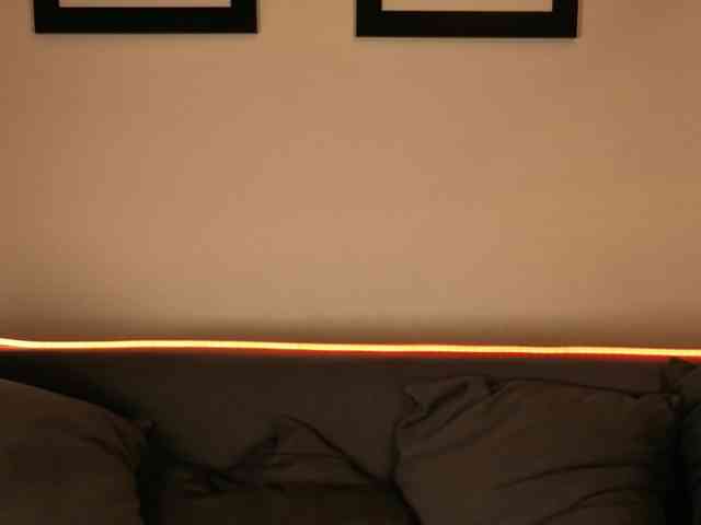 Trusty-dottie bongacams