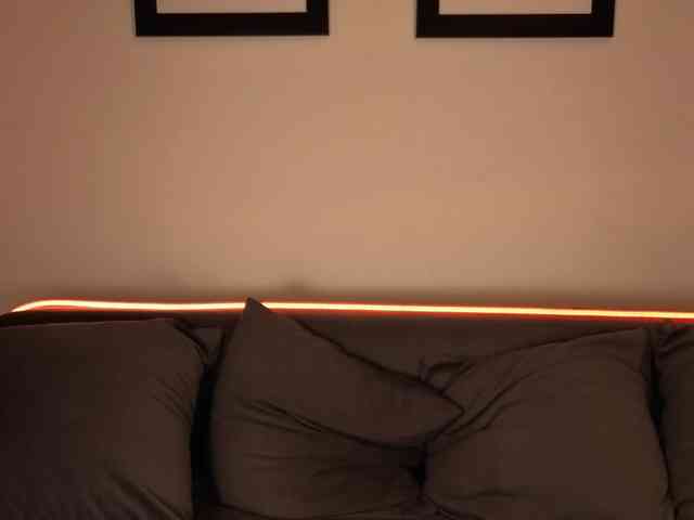 Trusty-dottie Trusty-dottie