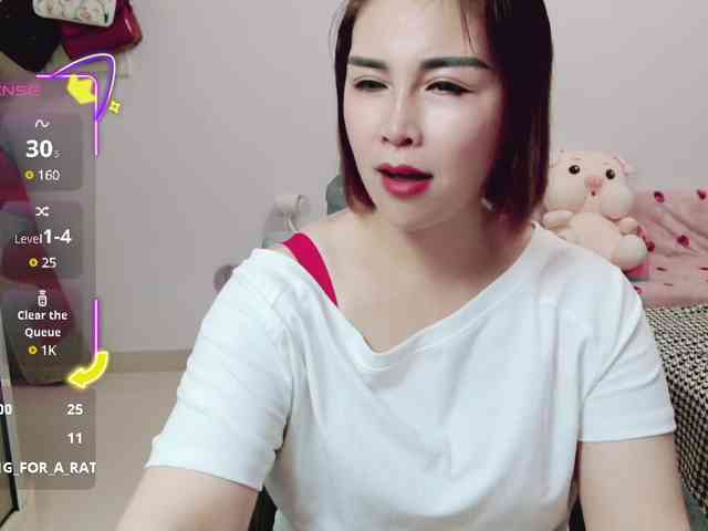 awamei webcam