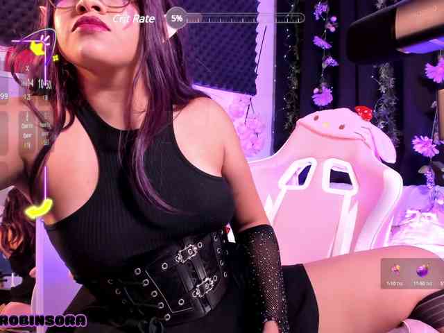 RobinSora webcam