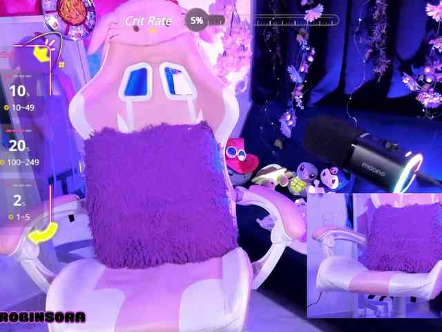 RobinSora webcam