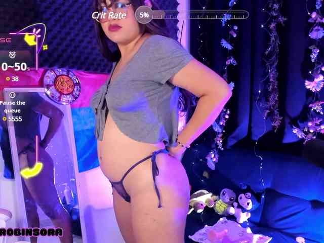 RobinSora webcam