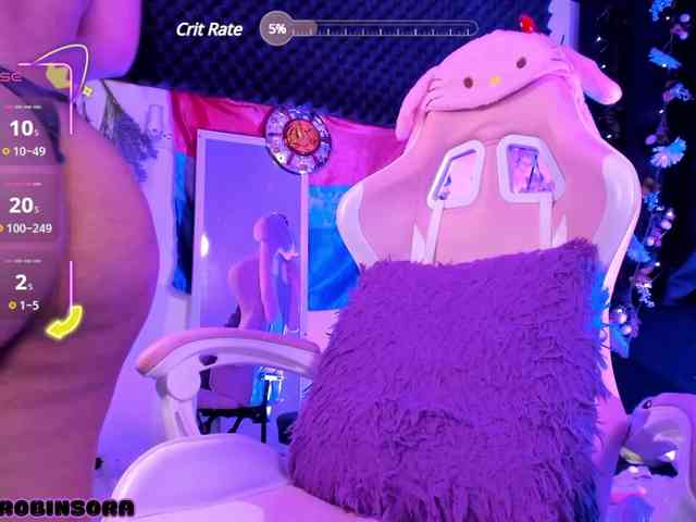 RobinSora webcam