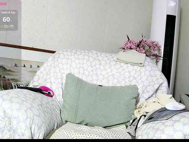 alisawa webcam