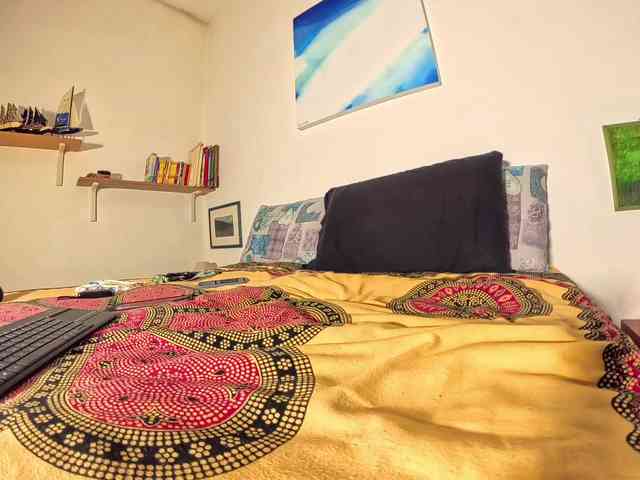 PetitePrince PetitePrince