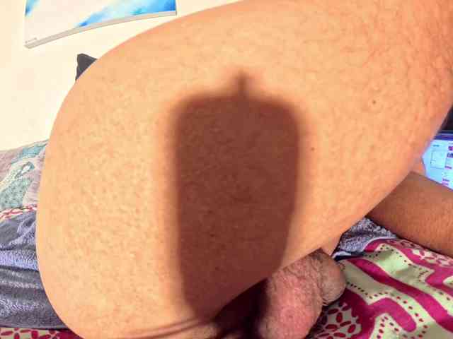 PetitePrince PetitePrince