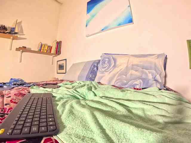 PetitePrince PetitePrince