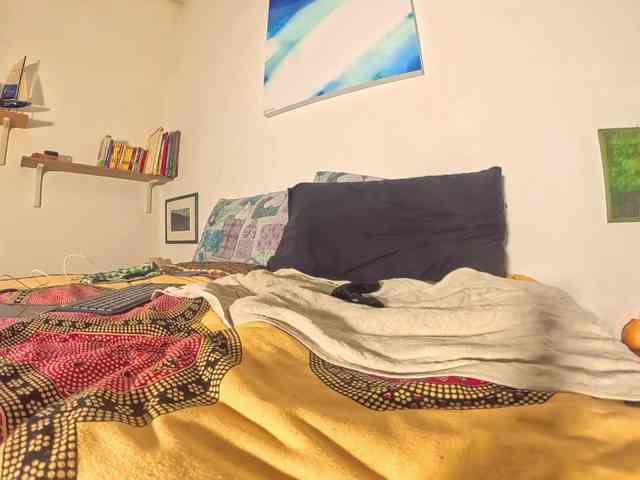 PetitePrince PetitePrince