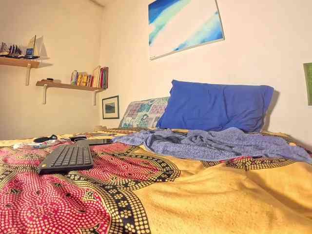 PetitePrince PetitePrince