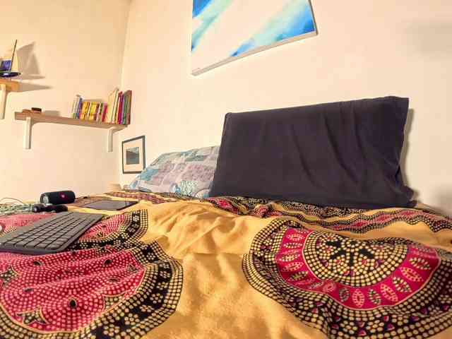 PetitePrince PetitePrince