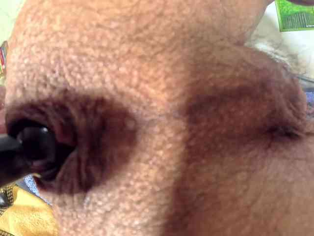 PetitePrince PetitePrince