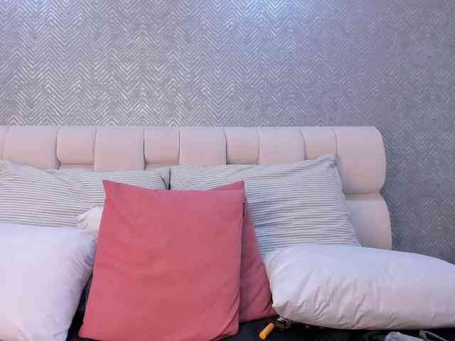 salome-sp webcam