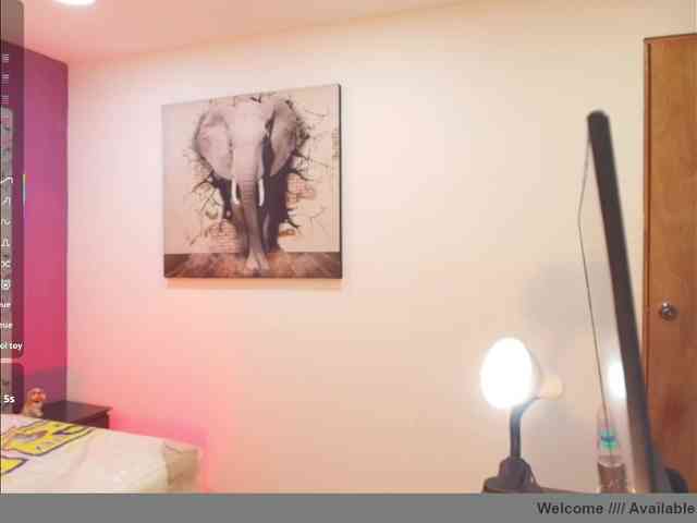 Thalia-skizy webcam